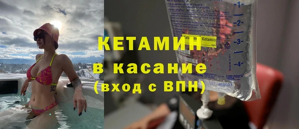 сатива Аркадак