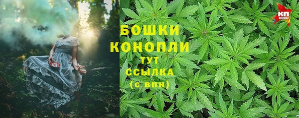 сатива Аркадак