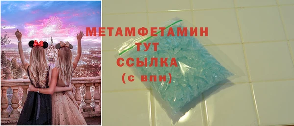 сатива Аркадак