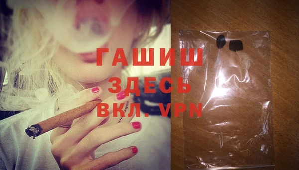 сатива Аркадак