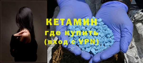 сатива Аркадак