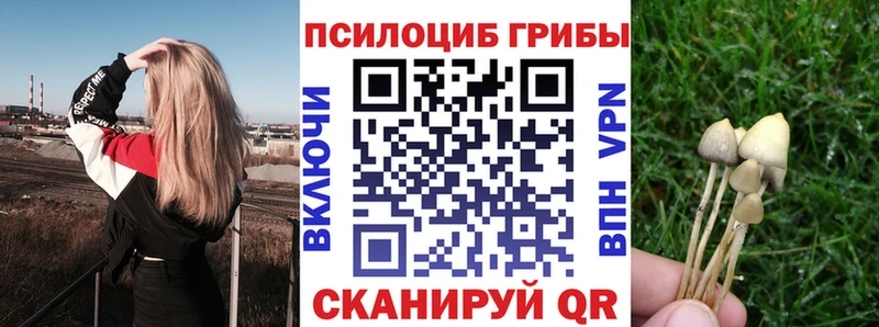 Псилоцибиновые грибы Magic Shrooms  Семикаракорск 